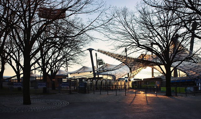 仍难救主 仍难救主