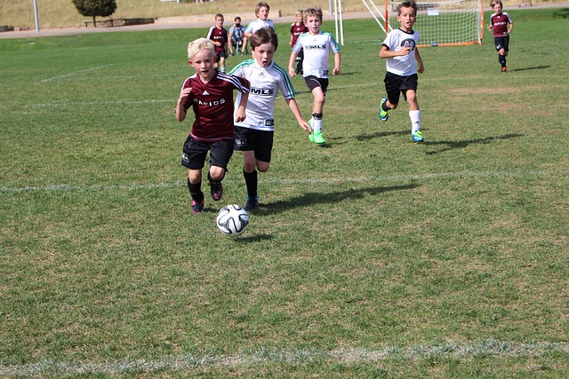 的成长与成 的成长与成