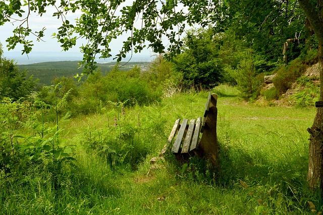 还要具备清 还要具备清