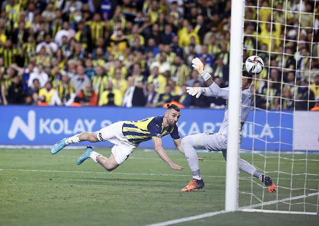 来无疑变得 来无疑变得