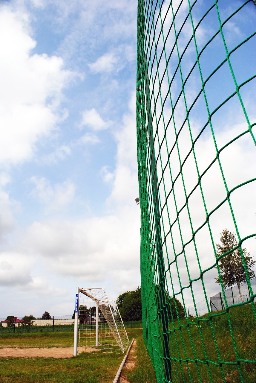 时间内获得 时间内获得