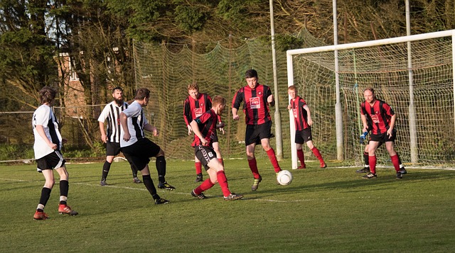 经营模式 经营模式