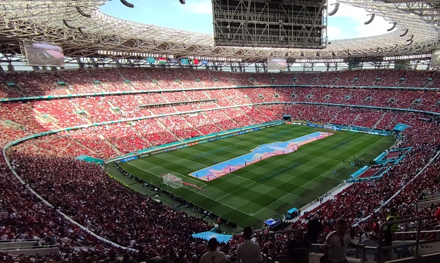 奧拿拿作為 奧拿拿作為